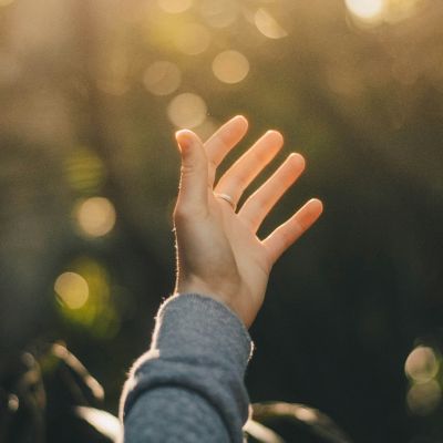 Hand reaching upwards with sunlight filtering through foliage.